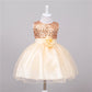 Baby Sequin Dress Flower Girl Wedding Princess Dress