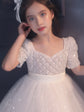 Flower Girl Wedding Dress Little Girl Dress Costume